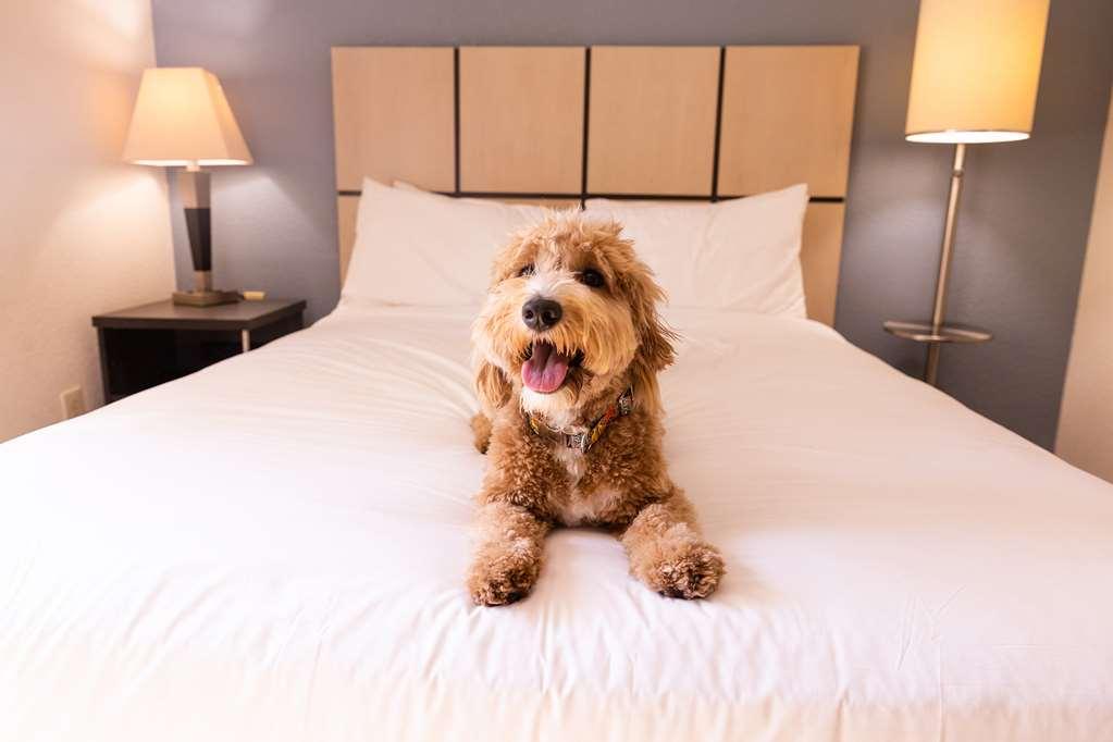 Sonesta Simply Suites Cleveland North Olmsted Airport Kültér fotó
